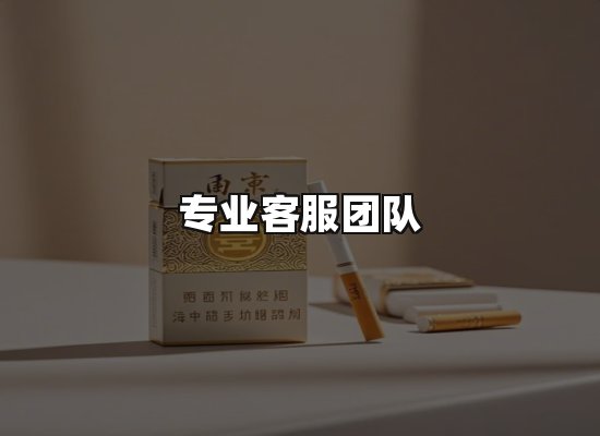 专业优势